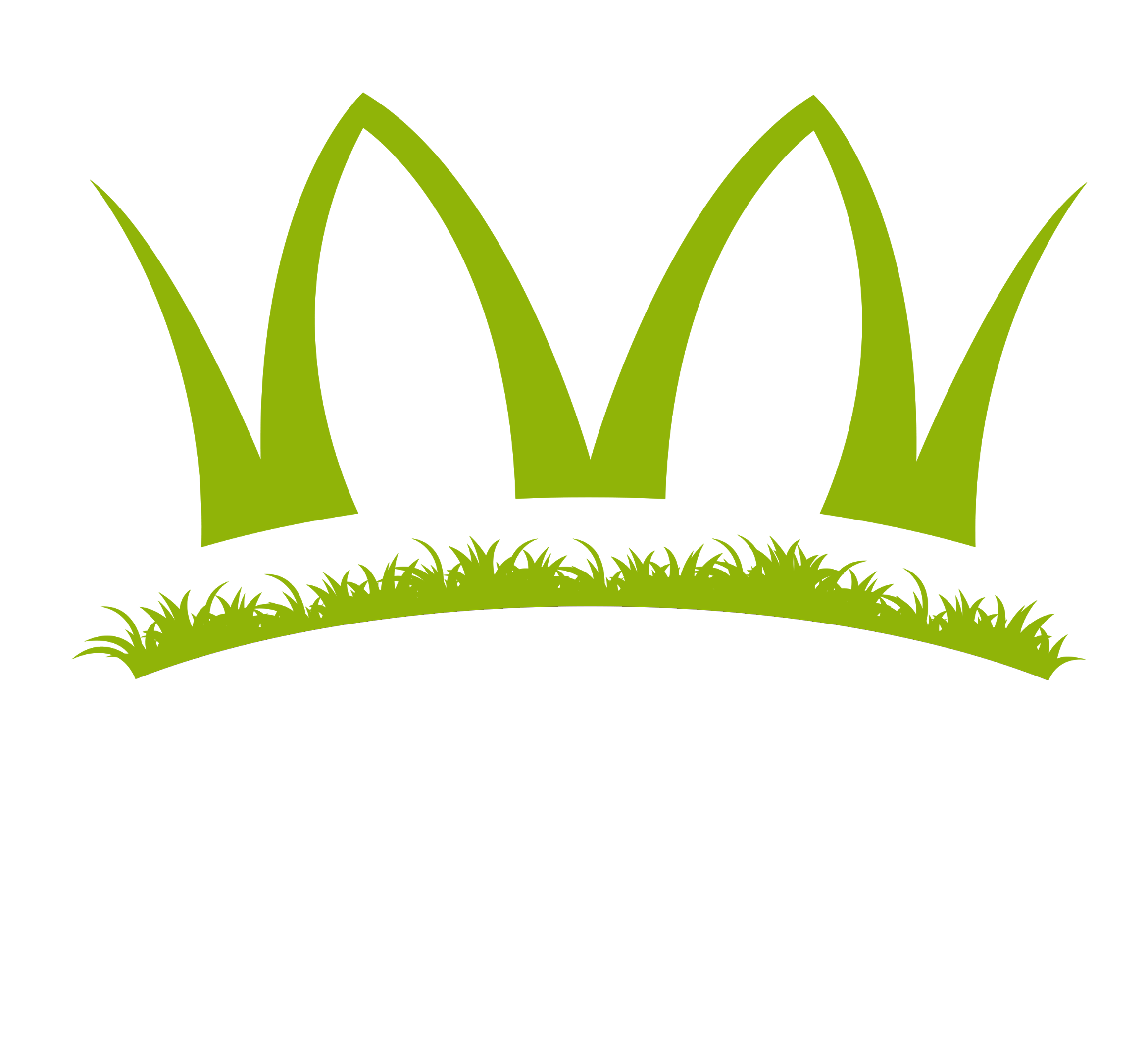 African Women's Empowerment Forum(AWEF)